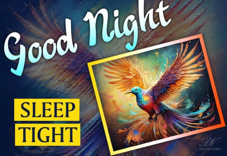 Good Night Wishes
