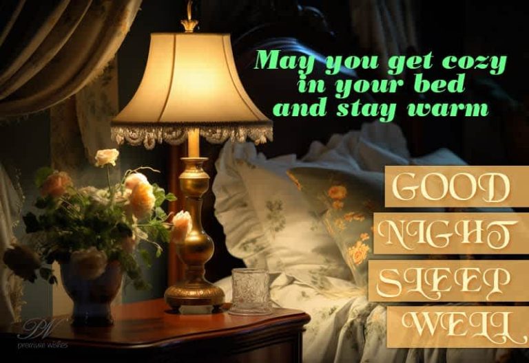 Good Night Wishes