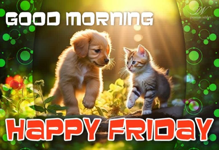 Happy Friday – Good Morning – Make Friends