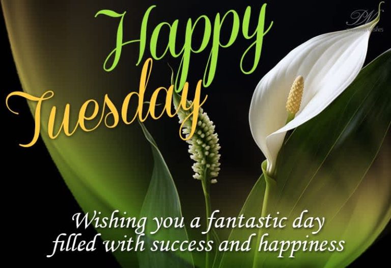 Happy Tuesday – Wishing you a fantastic day filled with success and happiness