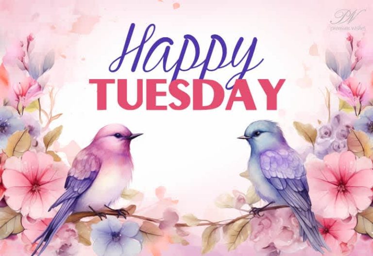Happy Tuesday – Spend the morning with friends Happy Tuesday – Spend the morning with friends