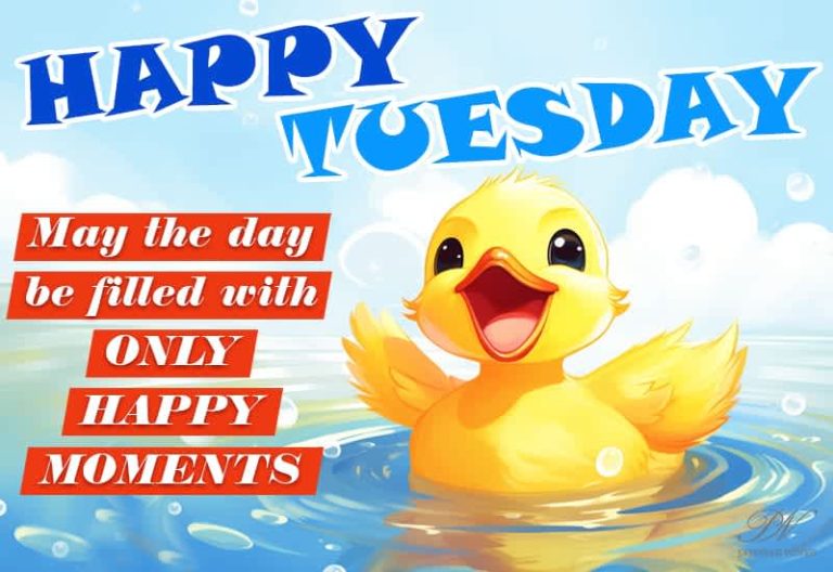 Happy Tuesday – May the day be filled with only happy moments Happy Tuesday – May the day be filled with only happy moments