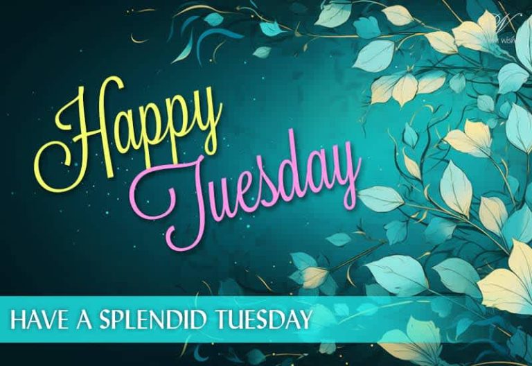 Happy Tuesday – Have a splendid Tuesday
