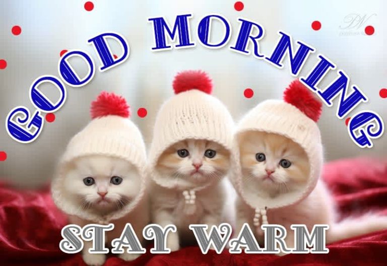 Good Morning – Stay Warm