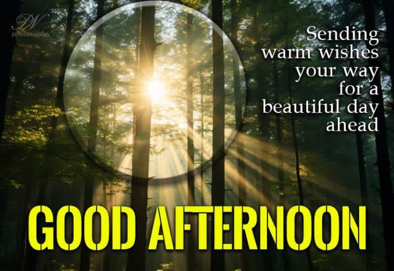 Good Afternoon Wishes