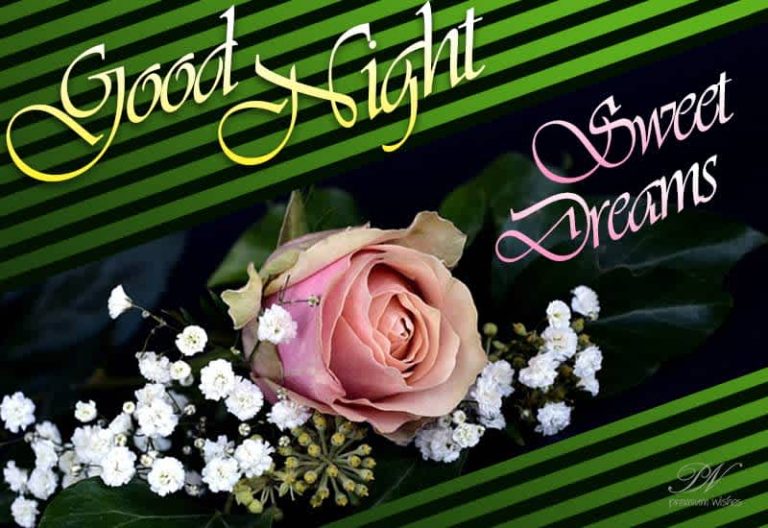 Good Night Wishes