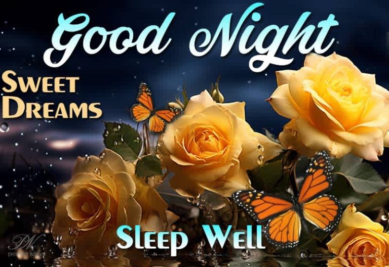 Good Night Wishes