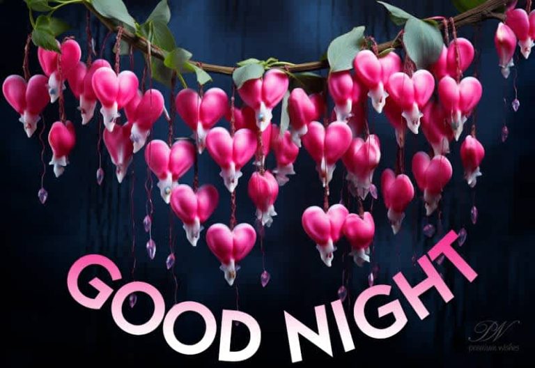 Good Night Wishes