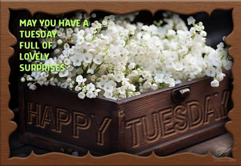 May you have a Tuesday full of lovely surprises