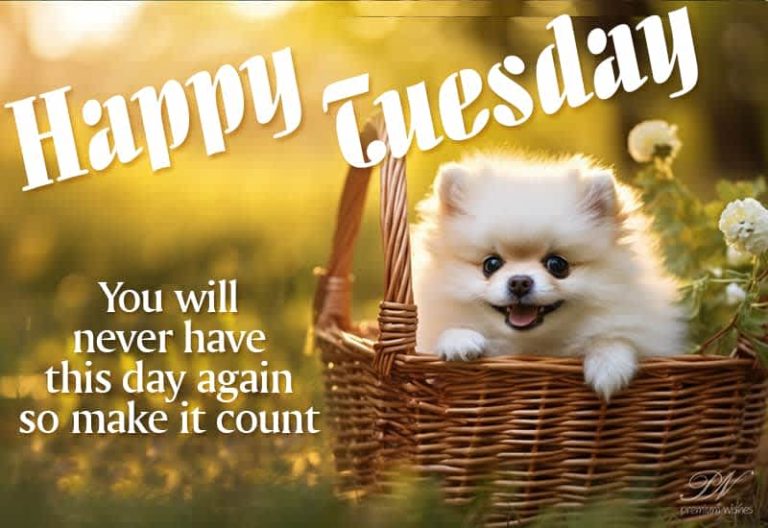 Happy Tuesday – You will never have this day again so make it count