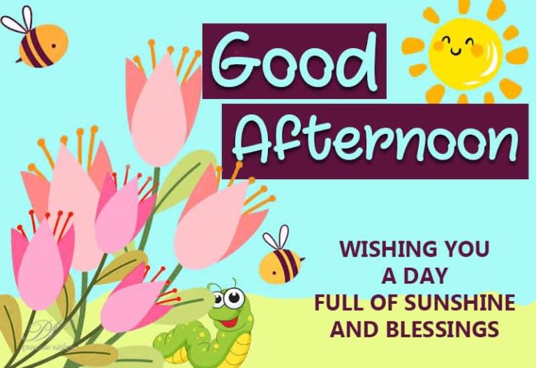 Good Afternoon Wishes
