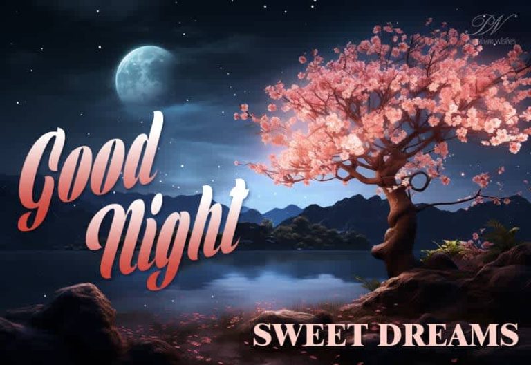 Good Night Wishes