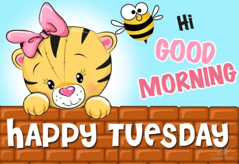 Good Morning – Happy Tuesday Friends – Enjoy The Day