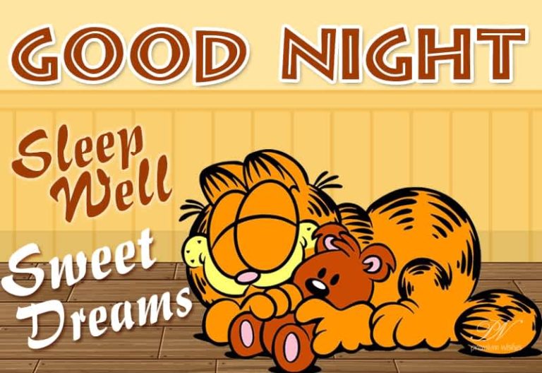 Good Night Wishes