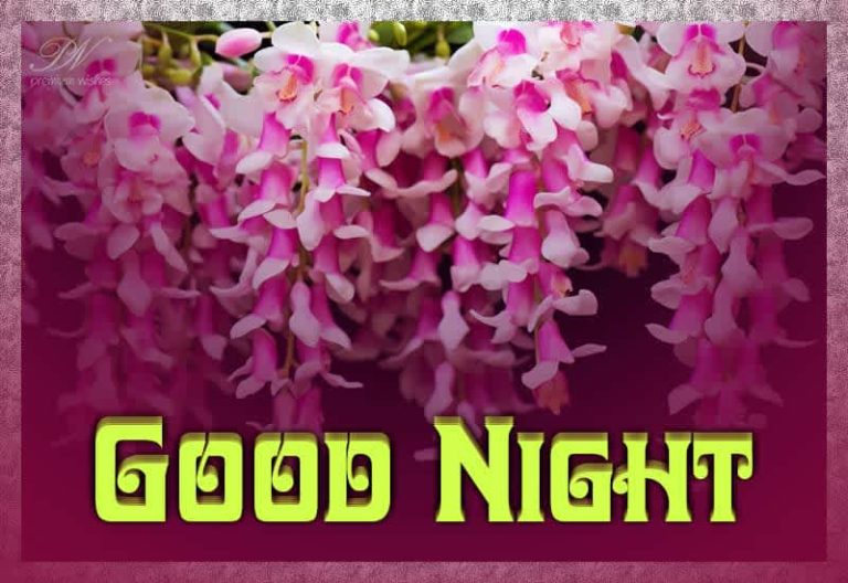 Good Night Wishes