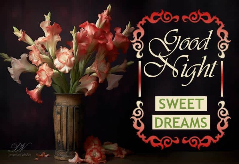 Good Night Wishes