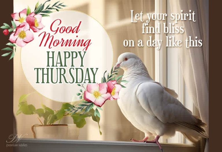 Good Morning – Happy Thursday – Let your spirit find bliss on a day like this