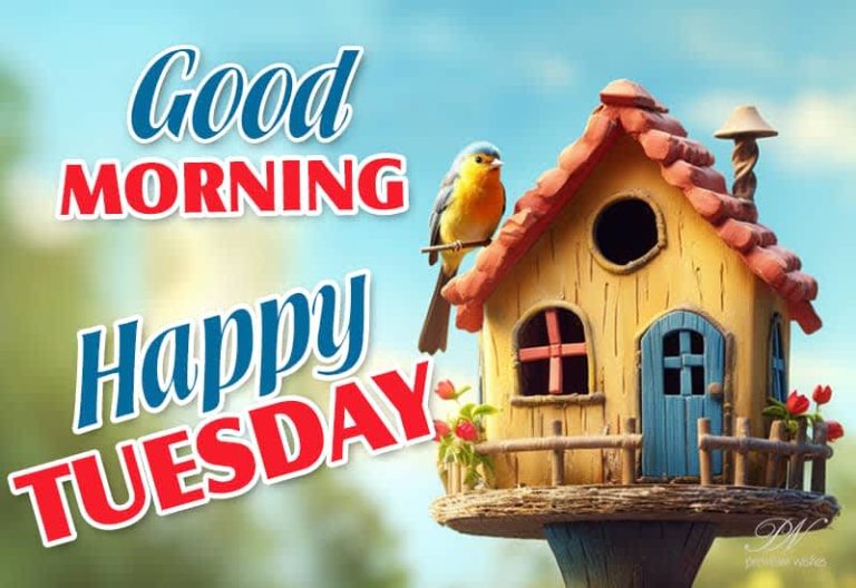Good Morning – Happy Tuesday Friends – Enjoy the day