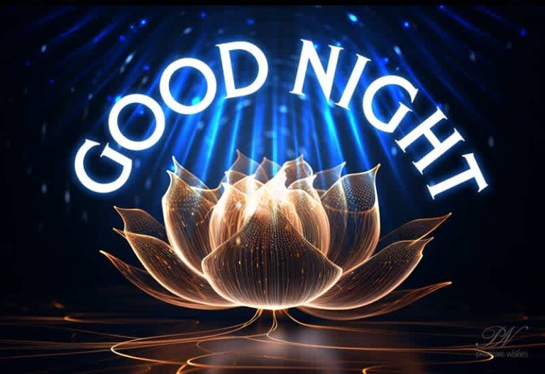 Good Night Wishes