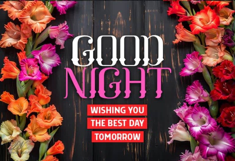 Good Night Wishes