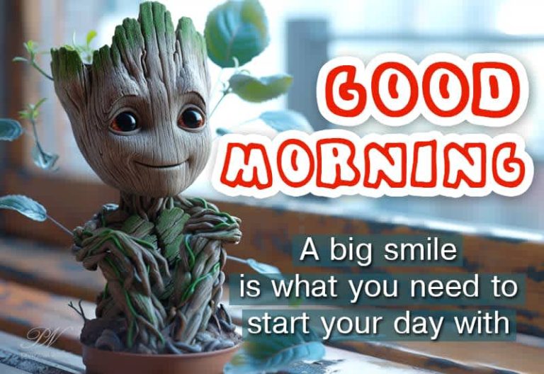 Good Morning – A big smile is what you need to start your day with