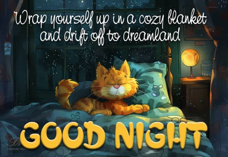 Wrap yourself up in a cozy blanket and drift off to dreamland