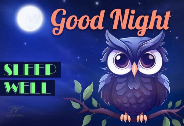Good Night Wishes
