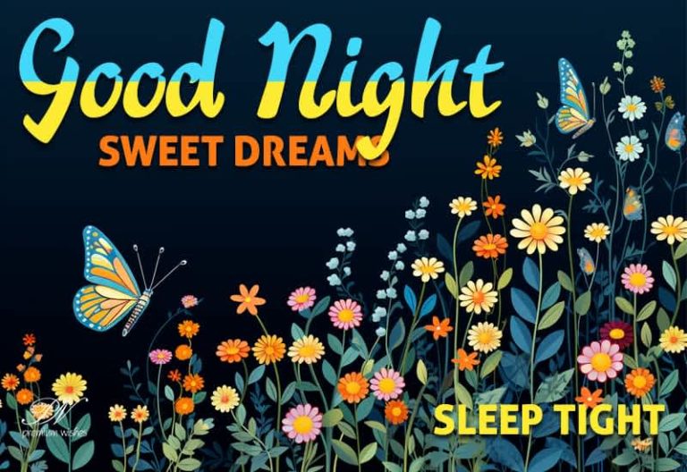 Good Night Wishes