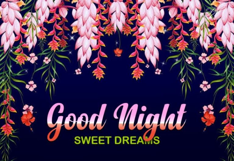 Good Night Wishes