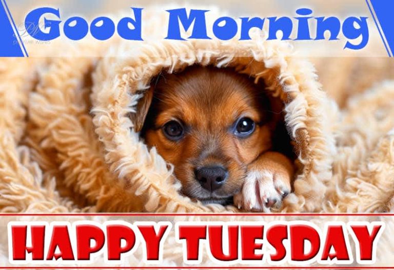 Good Morning – Happy Tuesday