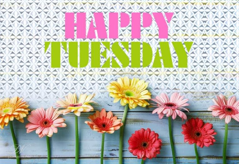 Wishing you a Tuesday filled with achievement and joy