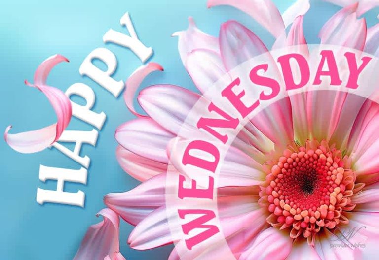 Wishing you a spectacular Wednesday full of blessings.