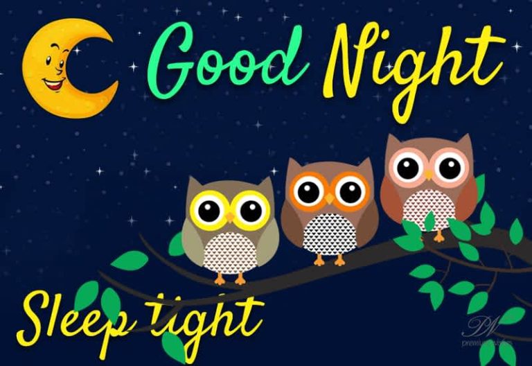 Good Night Wishes