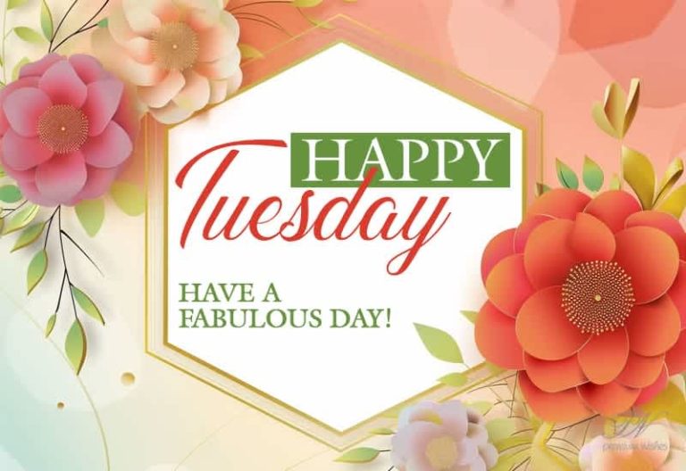 Happy Tuesday – Have a fabulous day friends