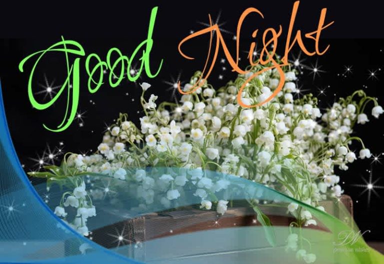 Good Night Wishes