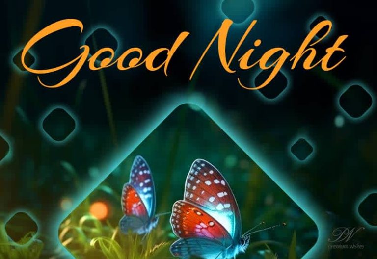 Good Night Wishes