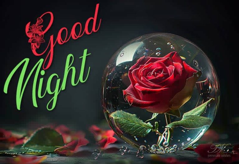 Good Night Wishes