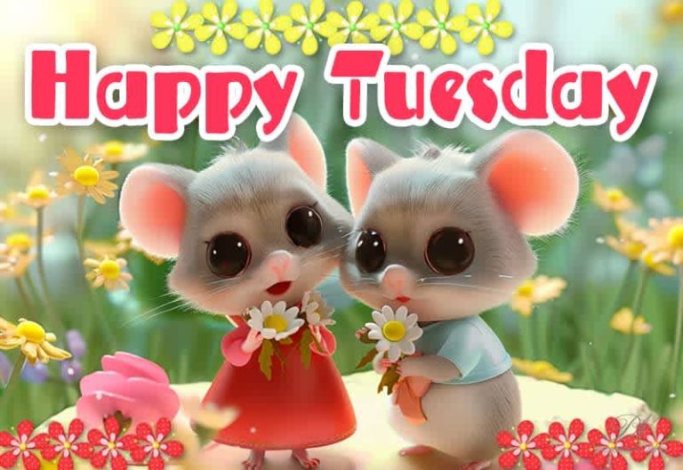 Happy Tuesday – Keep pushing forward and never give up