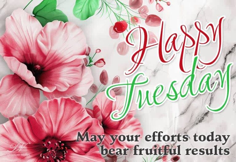 Happy Tuesday – May your efforts today bear fruitful results