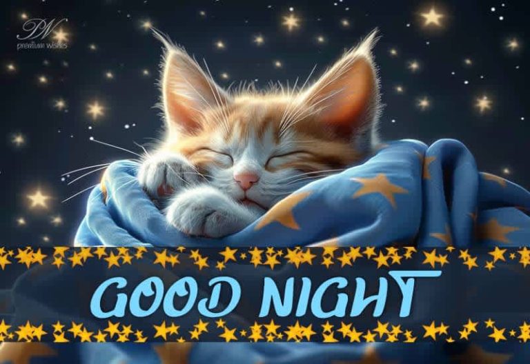 Close your eyes and drift into a world of dreams – Sleep Well- Good Night Friends