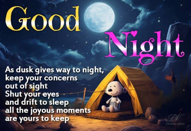 Good Night Wishes