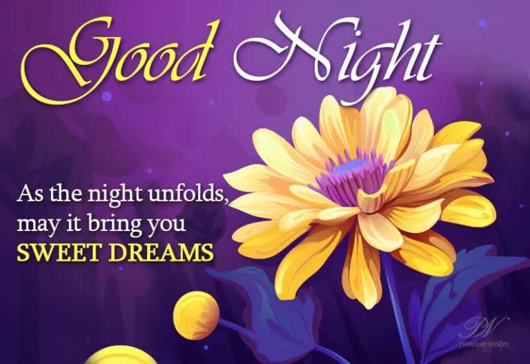 Good Night Wishes