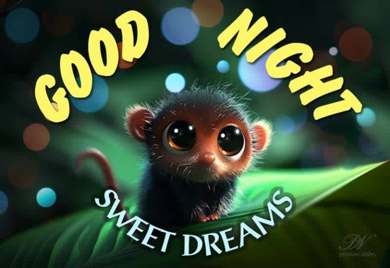 Good Night Wishes