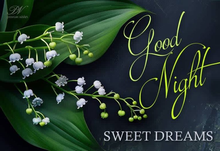 Good Night Wishes
