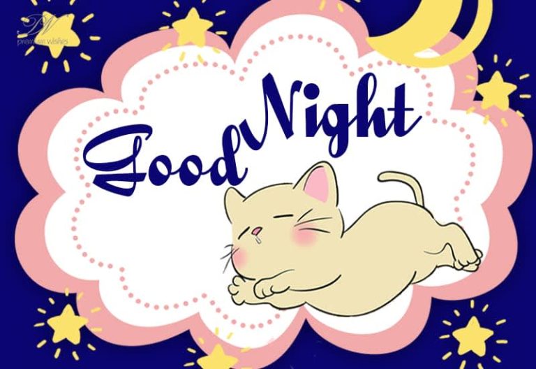 Good Night Wishes