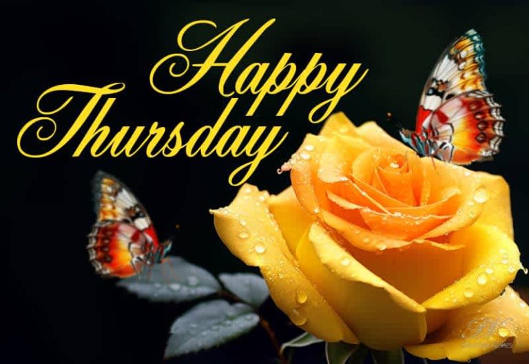 Happy Thursday – Enjoy the day – Smile and Be Happy