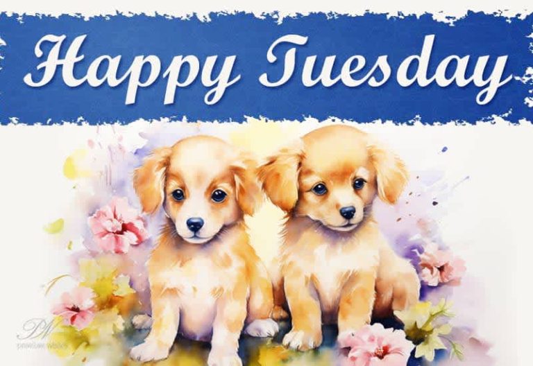 Happy Tuesday – Have a fabulous day with buddies