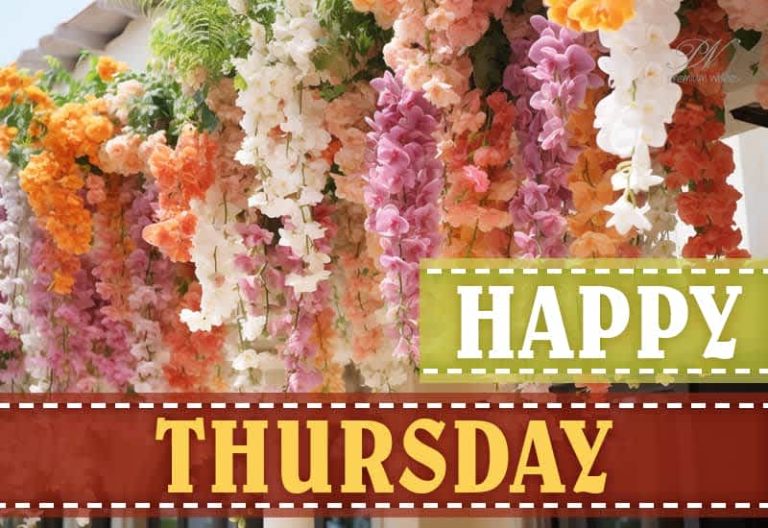 Good morning! Wishing you a productive Thursday ahead