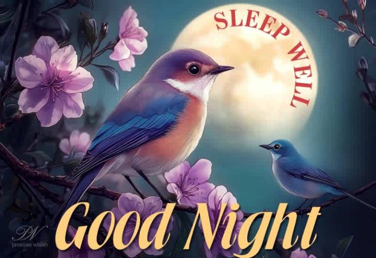 Good Night Wishes