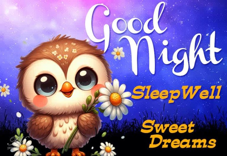 Good Night Wishes